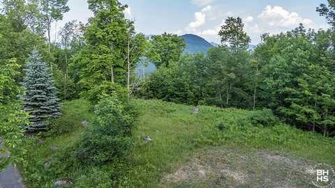 0 Panorama Drive Lot 14, Saranac Lake, NY 12983