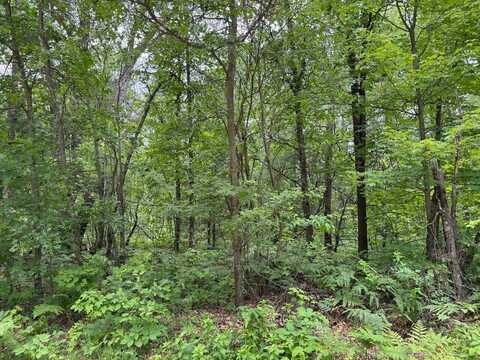 Lot 33 Highland Trail, Houghton Lake, MI 48629