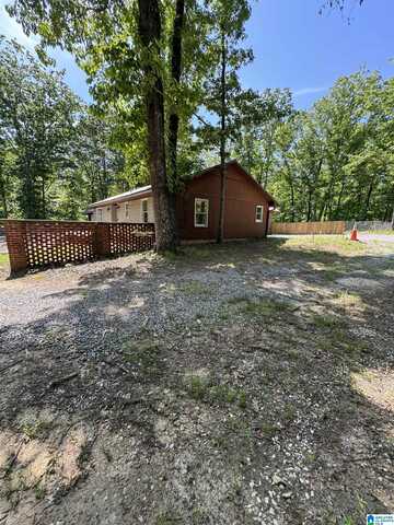 459 TYLER ROAD, REMLAP, AL 35133