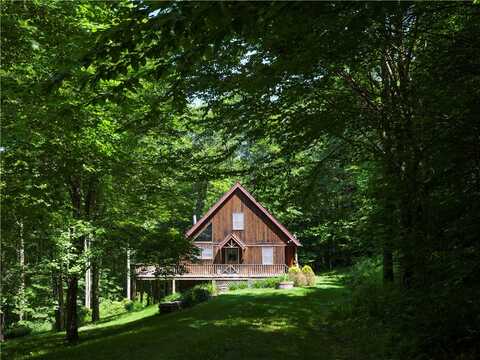 165 Alpine Drive, Bovina, NY 13731