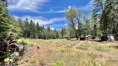 2020 Trinity Pines Dr, Hayfork, CA 96041