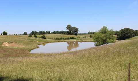 472 County Road, Piggott, AR 72454