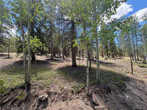 738 Lodgepole Drive, Twin Lakes, CO 81251