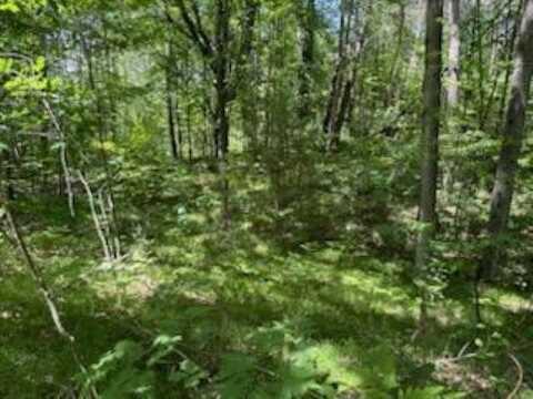 LOT 116,117,118 DONNA, Lake, MI 48632