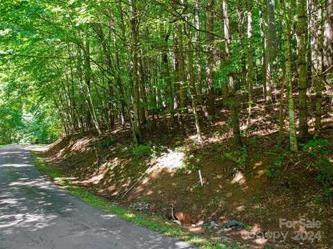 000 Lake Park Drive, Burnsville, NC 28714