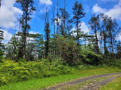 14-3385 MAYZEE RD, PAHOA, HI 96778