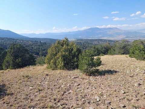 TBD Pinon Hills Road, South Fork, CO 81154