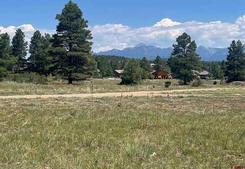 44 Shelter Pl, Pagosa Springs, CO 81147