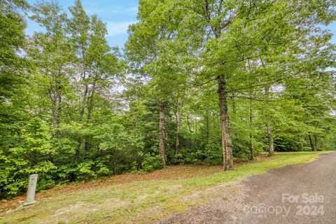 8 Sahalee Trail, Hendersonville, NC 28739