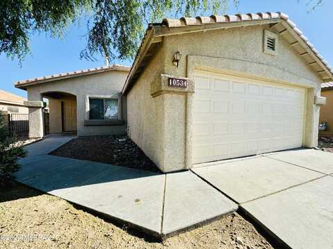 Dusky Willow, TUCSON, AZ 85747