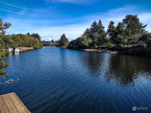 Cockle, OCEAN SHORES, WA 98569