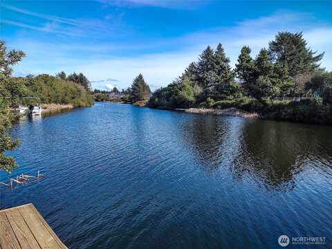 Cockle, OCEAN SHORES, WA 98569