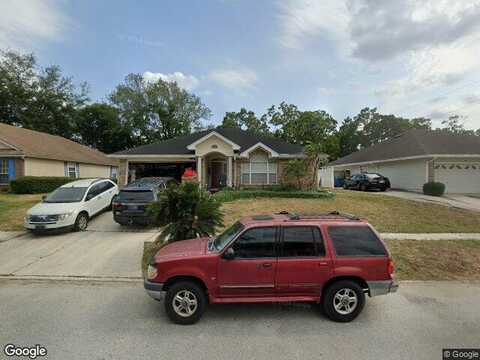 Nesting Eagles, JACKSONVILLE, FL 32225