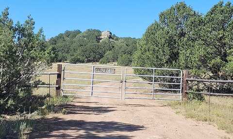 County Road 255, WESTCLIFFE, CO 81252