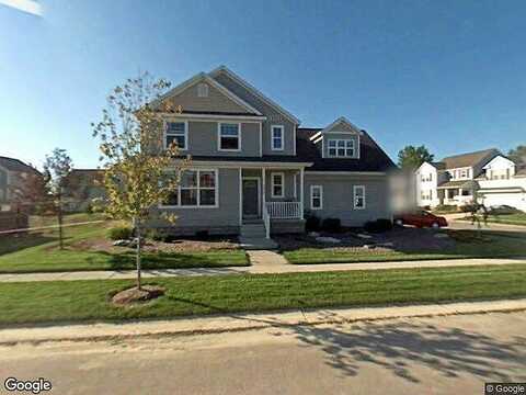 Phoebe, EAST LANSING, MI 48823