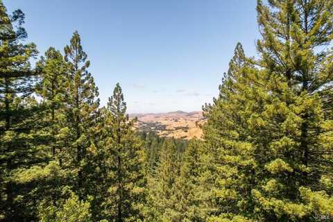 1401 Nicasio Valley Road, Nicasio, CA 94946