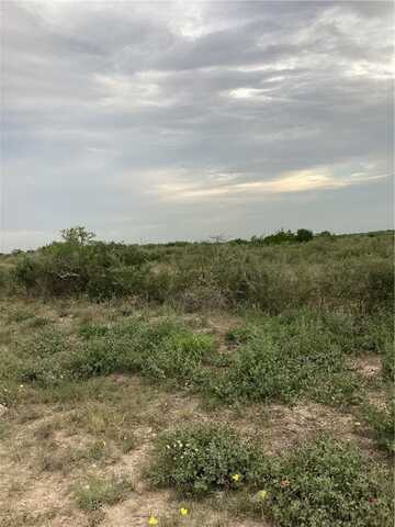 000 FRONTIER ROAD, Freer, TX 78357