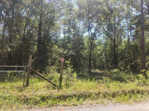 3.6 Acres Adams Rd Road, Crestview, FL 32536