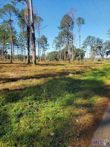 22601 FLETCHER RD, Ponchatoula, LA 70454