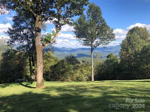 99999 Ebby Ridge Road, Fairview, NC 28730