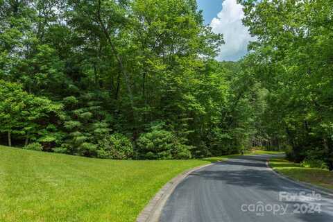 99999 Caddis Lane 96, Horse Shoe, NC 28742