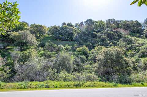 110 Sunny Oaks Drive, San Rafael, CA 94903