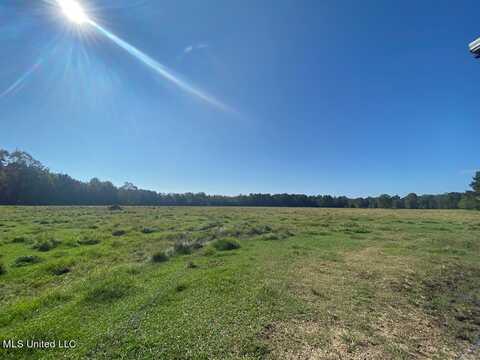 260 N Mitchel Chappel Road, Poplarville, MS 39470