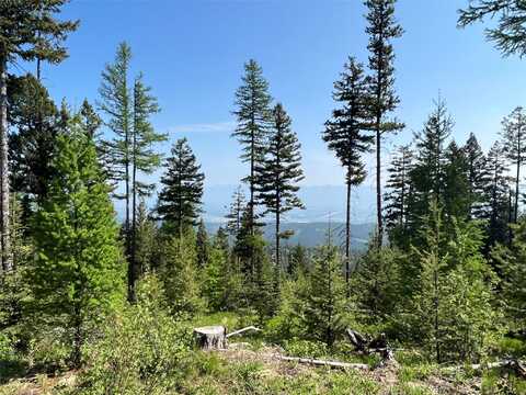 Nhn Emmons Canyon Road, Kalispell, MT 59901