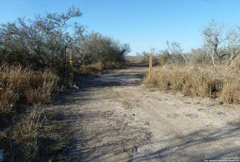 TBD FM 1554 & CR 136, Alice, TX 78332