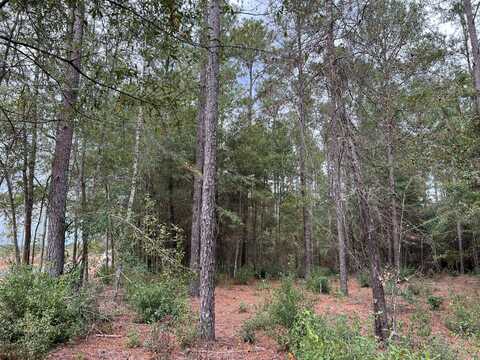 Lot D2 Rainbow Drive, Salley, SC 29137