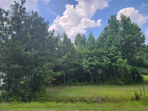 1919 Fairfield Circle, Florence, SC 29501