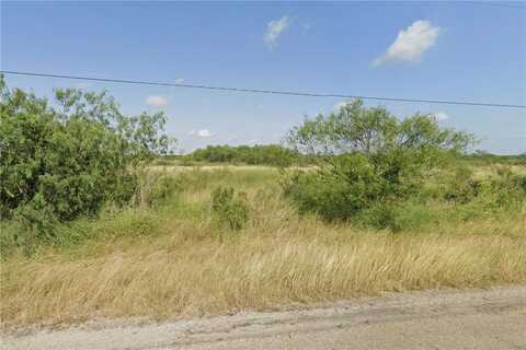 undefined, Skidmore, TX 78389