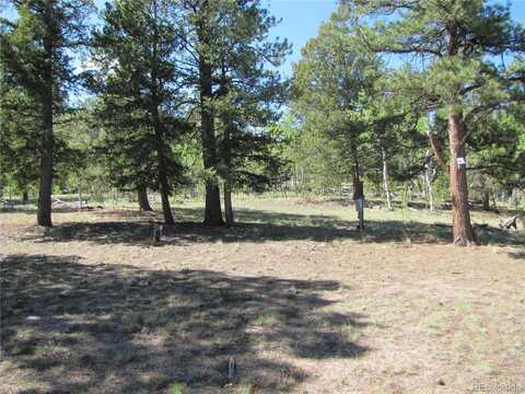 1132 Brahma Circle, Hartsel, CO 80449