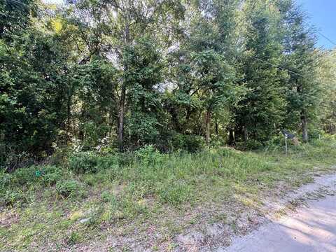 LOT 8 911th St, Old Town, FL 32680