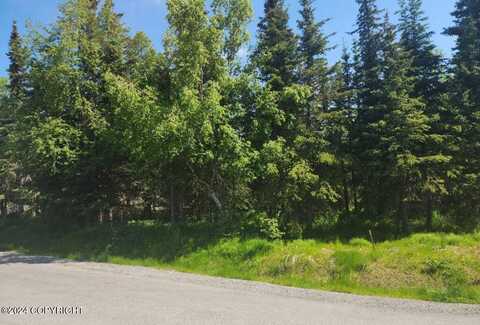 Lot 6 DePalatis Circle, Anchorage, AK 99516