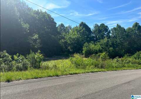 0 CHOCTAW TRAIL, LOCUST FORK, AL 35097