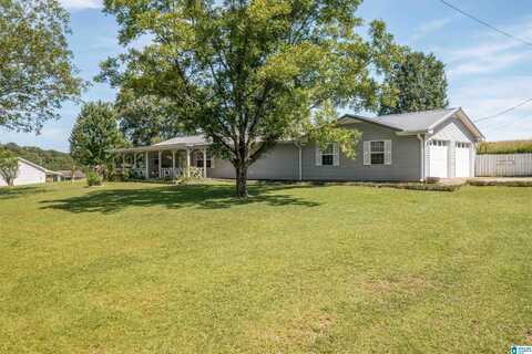 1101 LEDBETTER ROAD, MUNFORD, AL 36268