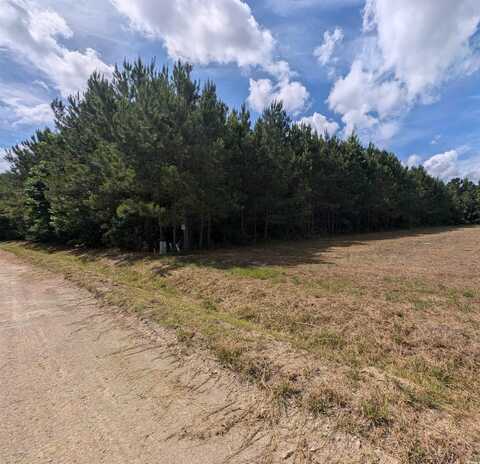 TBD 4.33 Acres Powell Lane, Loris, SC 29569