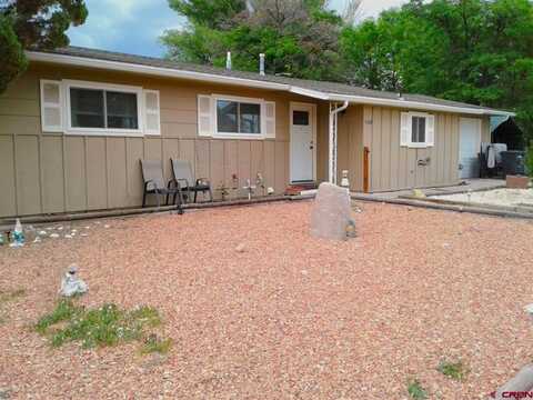 21169 Cherry Lane, Eckert, CO 81418