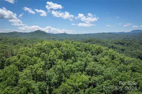 Tbd Girl Scout Camp Road, Brevard, NC 28712