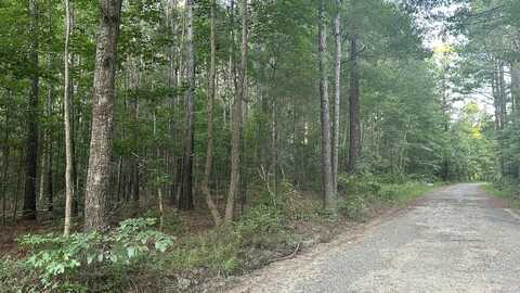 0 Pearl Acres Lane, Huger, SC 29450