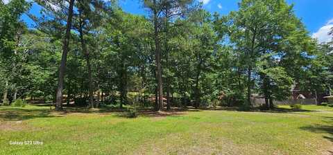 411 County Rd, Abbeville, AL 36310