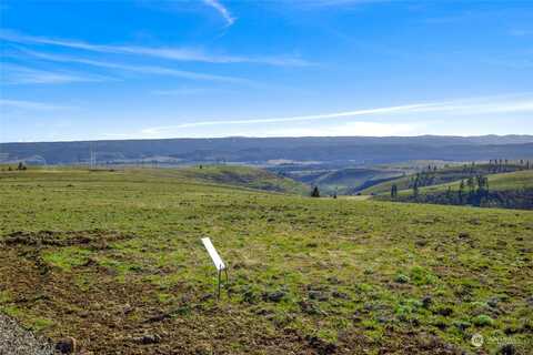 Lot Bettas Road, Cle Elum, WA 98922