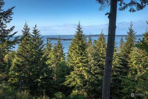 Raven Lane, Orcas, WA 98279