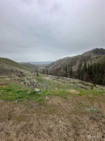 Antoine Creek Rd (Lot D), Chelan, WA 98816