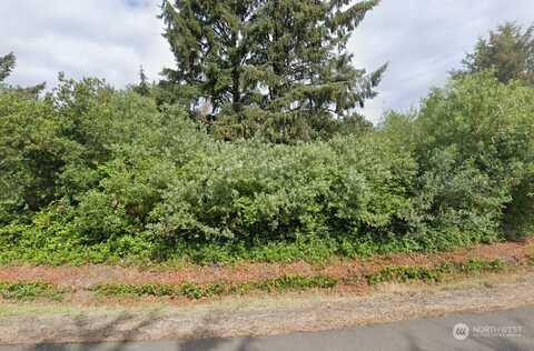 Satsop Street Nw, Ocean Shores, WA 98569