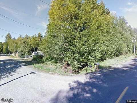 Lot W Quillayute Trail, Elma, WA 98541