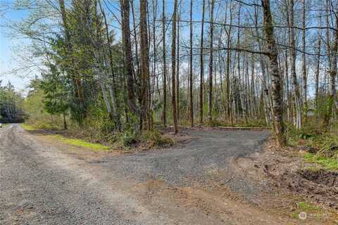 Lot W Quillayute Trail, Elma, WA 98541