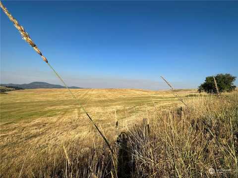 Tbd Chesaw Road, Oroville, WA 98844