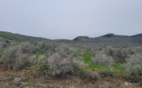 Lower White Road, Oroville, WA 98855